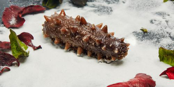 怎樣快速的區(qū)分淡干海參、鹽干海參和凍干海參？